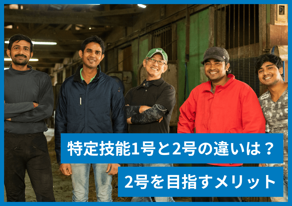 特定技能1号と特定技能2号の違いは？1号から2号を目指すメリット